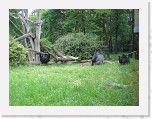 Dierentuin Burgers  Zoo 107 * 3648 x 2736 * (7.43MB)